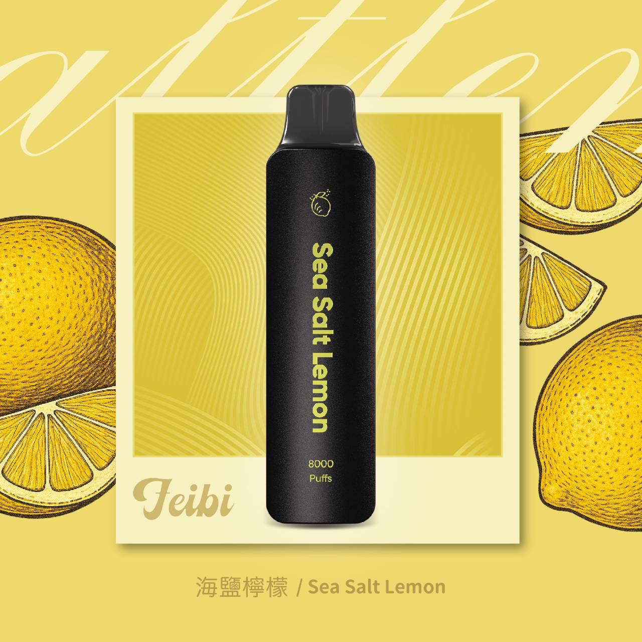 <p>Feibi 菲比 8000口<br />
拋棄式/一次性</p>